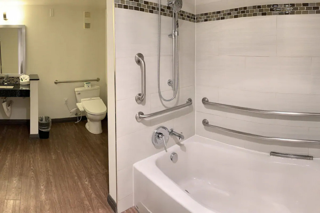 ADA Accessible Dulex Double Bathroom